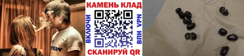 ГАШ Premium  Жердевка 