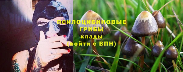 таблы Алзамай
