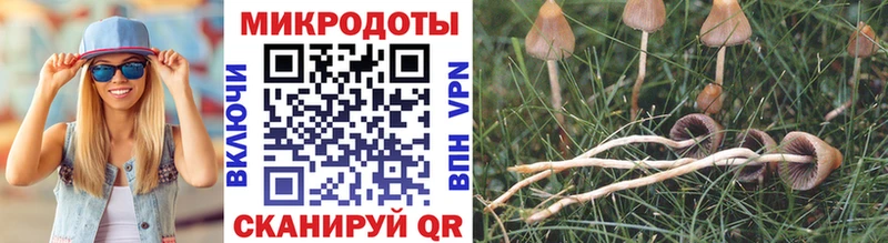 MEGA как войти  Жердевка  Галлюциногенные грибы прущие грибы  купить  